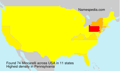 Surname Mincarelli in USA Surname Mincarelli in USA