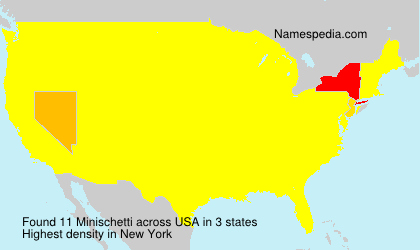 Surname Minischetti in USA Surname Minischetti in USA