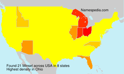 Surname Minsel in USA