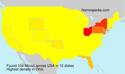 Surname Miozzi in USA Surname Miozzi in USA
