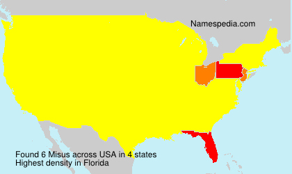 Surname Misus in USA Surname Misus in USA