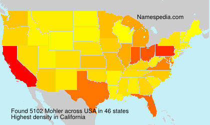 Surname Mohler in USA