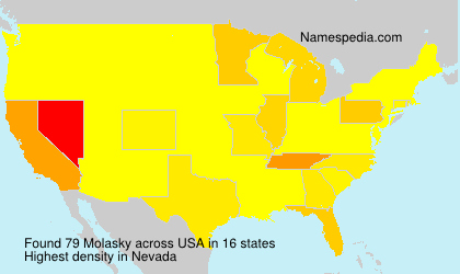 Surname Molasky in USA Surname Molasky in USA