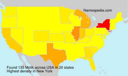 Surname Molik in USA