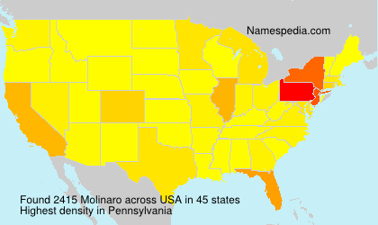 Surname Molinaro in USA