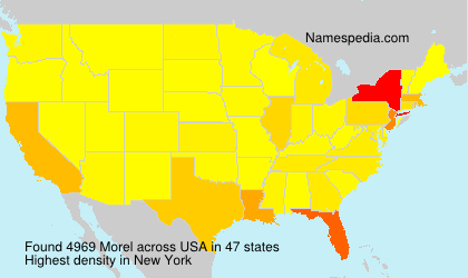 Surname Morel in USA Surname Morel in USA