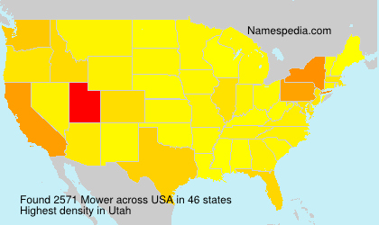 Surname Mower in USA Surname Mower in USA