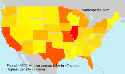 Surname Mueller in USA