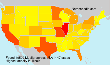 Surname Mueller in USA Surname Mueller in USA