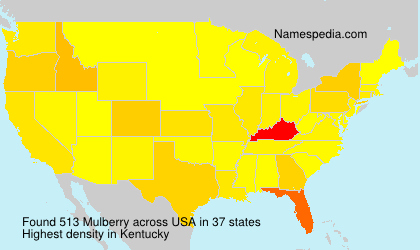 Mulberry Mulberry