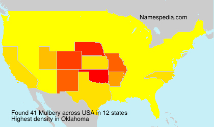 Surname Mulbery in USA Surname Mulbery in USA