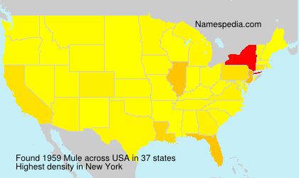 Surname Mule in USA Surname Mule in USA