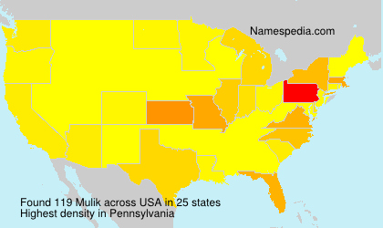 Surname Mulik in USA Surname Mulik in USA