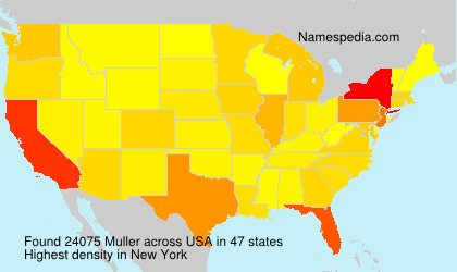Surname Muller in USA Surname Muller in USA