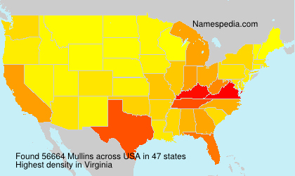 Surname Mullins in USA Surname Mullins in USA