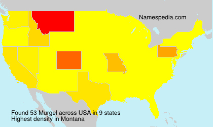 Surname Murgel in USA Surname Murgel in USA