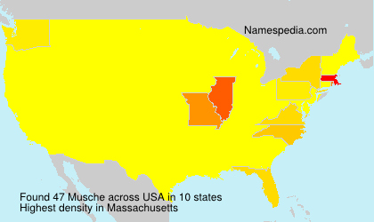 Surname Musche in USA Surname Musche in USA