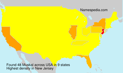 Surname Muskal in USA Surname Muskal in USA
