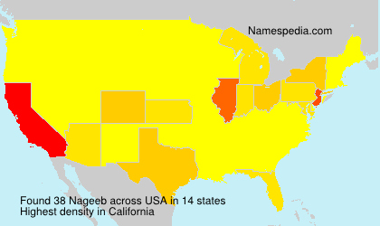 Surname Nageeb in USA