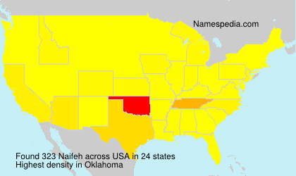 Surname Naifeh in USA Surname Naifeh in USA