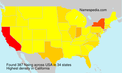 Surname Naing in USA Surname Naing in USA