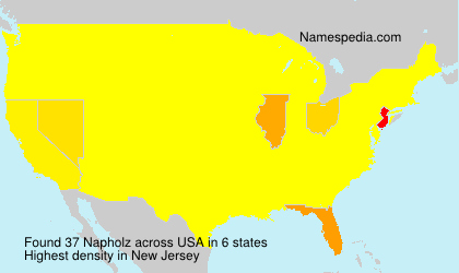 Napholz Napholz