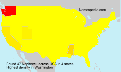 Surname Napiontek in USA
