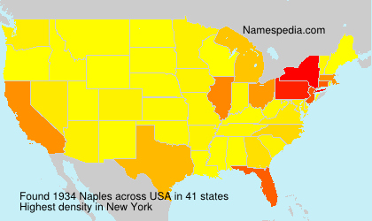 Surname Naples in USA Surname Naples in USA