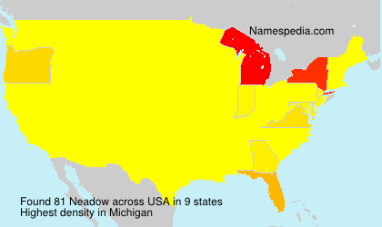 Surname Neadow in USA Surname Neadow in USA