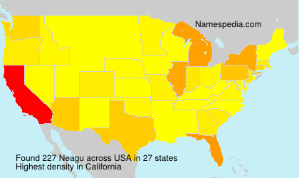 Surname Neagu in USA