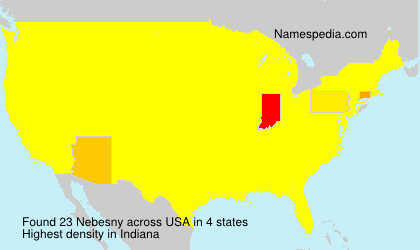 Surname Nebesny in USA