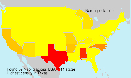 Surname Nebrig in USA