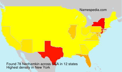 Surname Nechamkin in USA Surname Nechamkin in USA