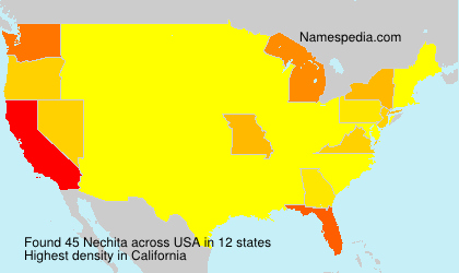 Nechita Nechita
