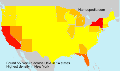 Necula Necula