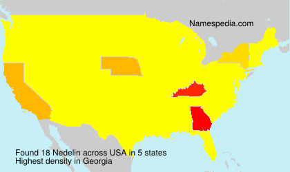 Surname Nedelin in USA