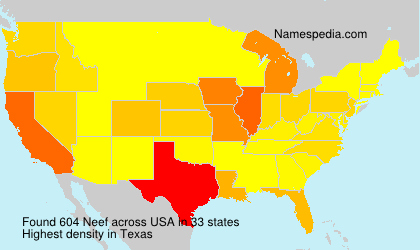 Surname Neef in USA Surname Neef in USA