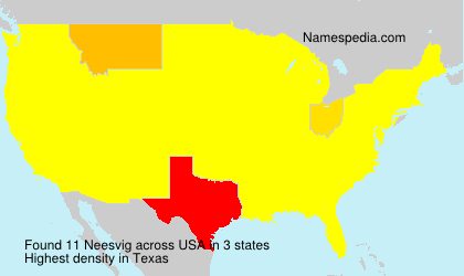 Surname Neesvig in USA Surname Neesvig in USA