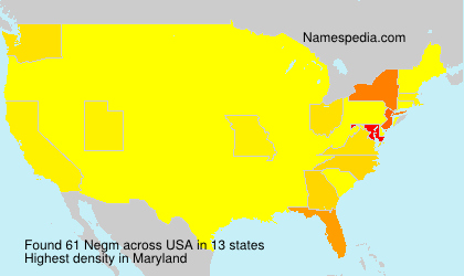 Surname Negm in USA Surname Negm in USA