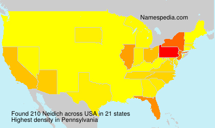 Surname Neidich in USA Surname Neidich in USA