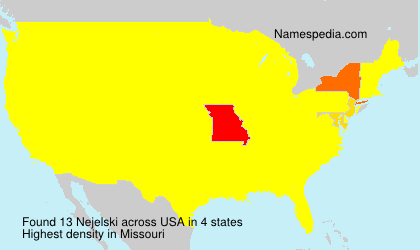 Surname Nejelski in USA