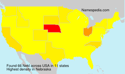 Surname Nekl in USA