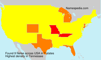 Surname Nelse in USA Surname Nelse in USA