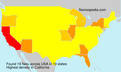 Surname Nelu in USA