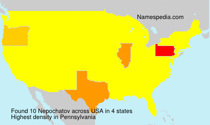 Surname Nepochatov in USA