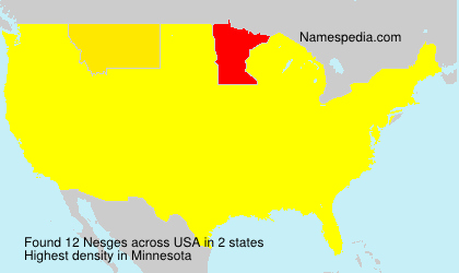 Surname Nesges in USA Surname Nesges in USA