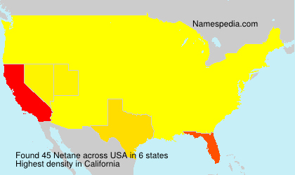 Surname Netane in USA Surname Netane in USA