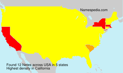 Surname Netes in USA Surname Netes in USA