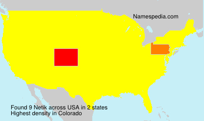 Surname Netik in USA Surname Netik in USA