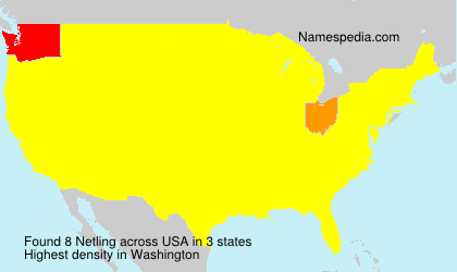 Surname Netling in USA Surname Netling in USA